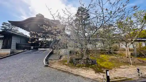 仁和寺(京都府)