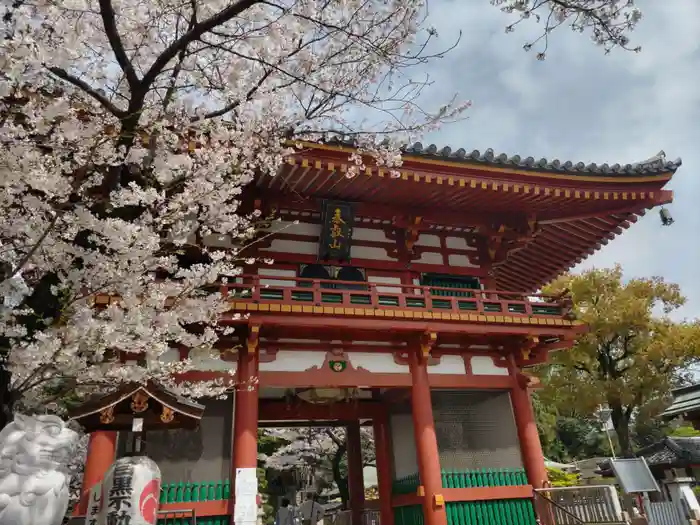 瀧泉寺（目黒不動尊）の山門