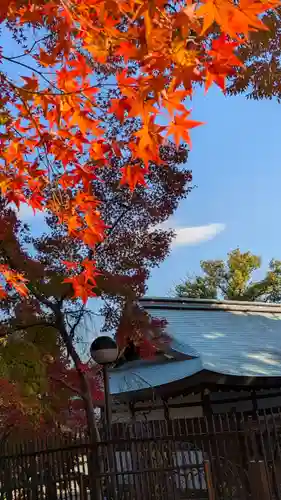 北野天満宮(京都府)