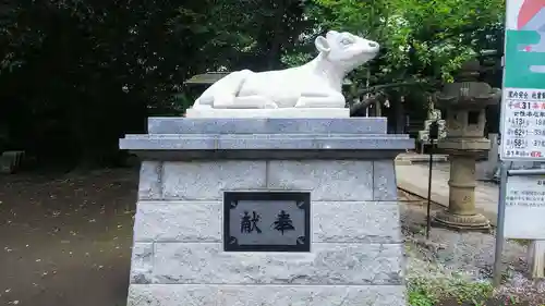 小金井神社の狛犬