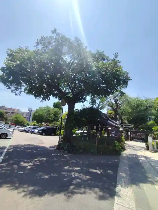 白山神社の{uncategorized: "未分類", other: "その他", undefined: "問題あり", building: "その他建物", grave: "お墓", sacred_gate: "鳥居", guardian: "狛犬", statue: "像", buddha: "仏像", history: "歴史", nature: "自然", garden: "庭園", animal: "動物", pagoda: "塔", temizu: "手水舎", mountain_gate: "山門・神門", sanctuary: "本殿・本堂", subordinate: "末社・摂社", art: "芸術", scenery: "景色", jizo: "地蔵", ema: "絵馬", goshuin: "御朱印", omikuji: "おみくじ", items: "授与品その他", amulet: "お守り", goshuincho: "御朱印帳", eats: "食事", festival: "お祭り", votive_dance: "神楽", shichigosan: "七五三参", wedding: "結婚式", experience: "体験その他", initially: "初詣", around: "周辺", anti_infection: "感染症対策"}