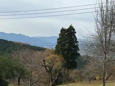 真福寺(埼玉県)