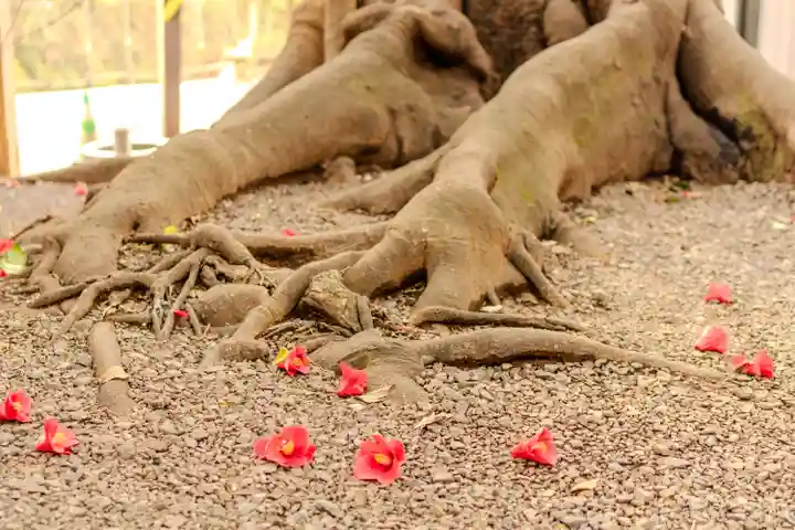 八大龍王水神(宮崎県)