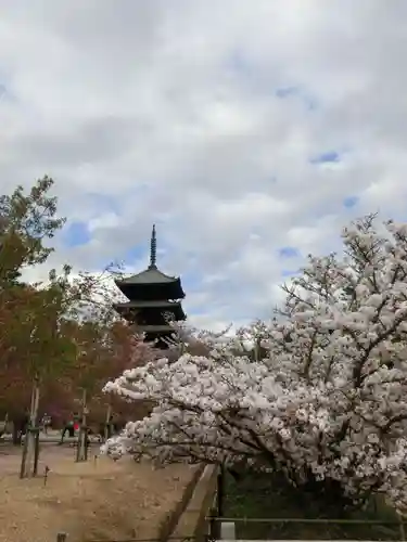 仁和寺のその他建物