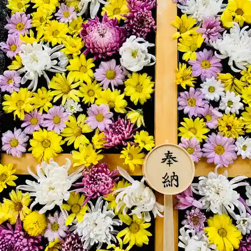 土津神社｜こどもと出世の神さまの手水