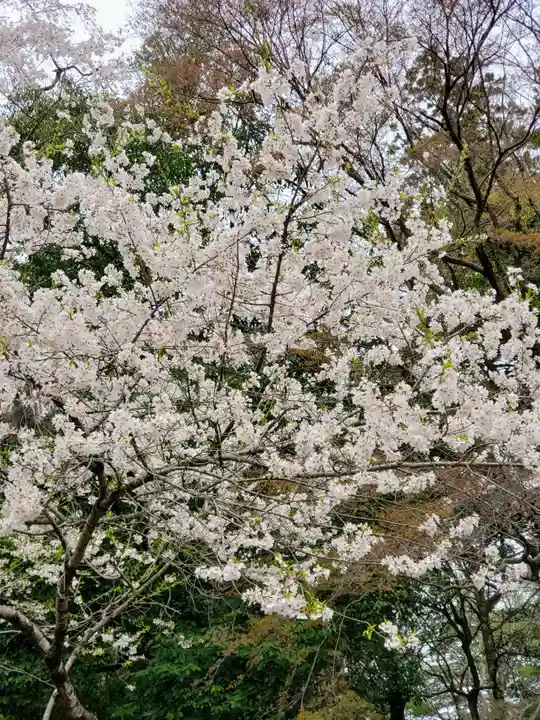 唐澤山神社(栃木県)