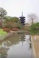 東寺(教王護国寺)の塔