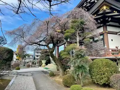 大義寺(東京都)