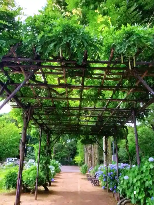 妙法寺(東京都)