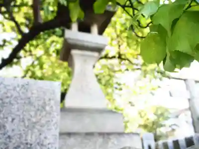 髙牟神社のその他建物