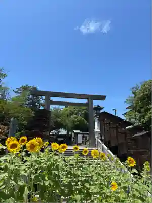 伊勢山皇大神宮(神奈川県)