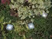 天王山 安楽寺(福井県)