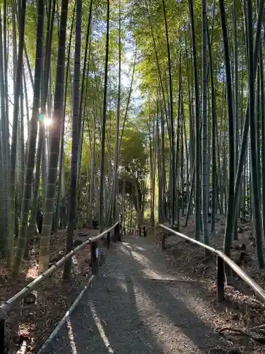 高台寺（高台寿聖禅寺・高臺寺）(京都府)