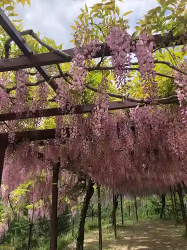 和気神社(鹿児島県)
