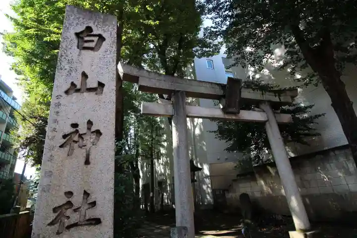 荻窪白山神社の鳥居