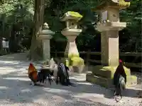 石上神宮(奈良県)