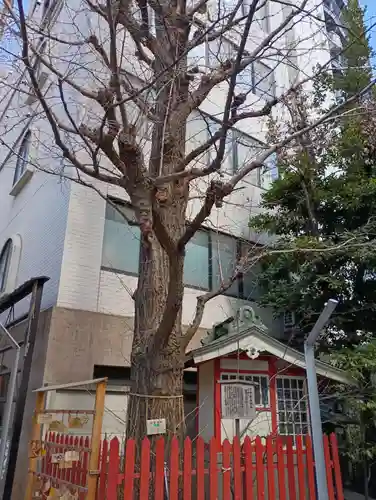 銀杏岡八幡神社(東京都)