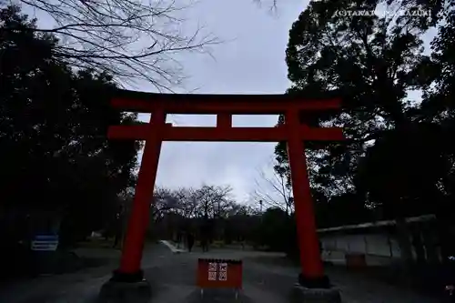 平野神社の鳥居