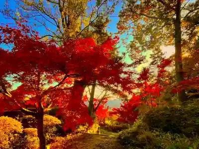 善水寺(滋賀県)