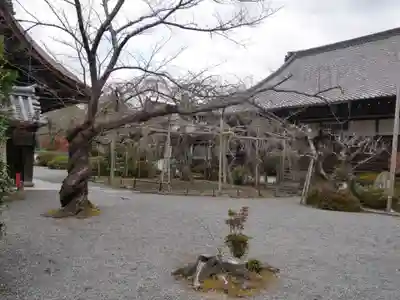 毘沙門堂門跡のその他建物