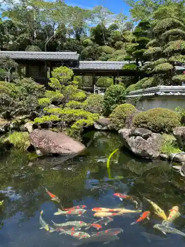 延光寺の{uncategorized: "未分類", other: "その他", undefined: "問題あり", building: "その他建物", grave: "お墓", sacred_gate: "鳥居", guardian: "狛犬", statue: "像", buddha: "仏像", history: "歴史", nature: "自然", garden: "庭園", animal: "動物", pagoda: "塔", temizu: "手水舎", mountain_gate: "山門・神門", sanctuary: "本殿・本堂", subordinate: "末社・摂社", art: "芸術", scenery: "景色", jizo: "地蔵", ema: "絵馬", goshuin: "御朱印", omikuji: "おみくじ", items: "授与品その他", amulet: "お守り", goshuincho: "御朱印帳", eats: "食事", festival: "お祭り", votive_dance: "神楽", shichigosan: "七五三参", wedding: "結婚式", experience: "体験その他", initially: "初詣", around: "周辺", anti_infection: "感染症対策"}