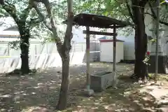 千形神社の手水