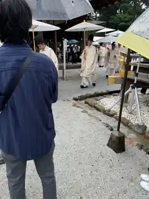 賀茂別雷神社（上賀茂神社）(京都府)