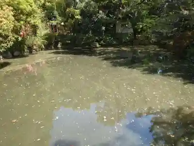 住吉大社(大阪府)