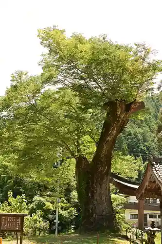 廣瀬神社(愛媛県)