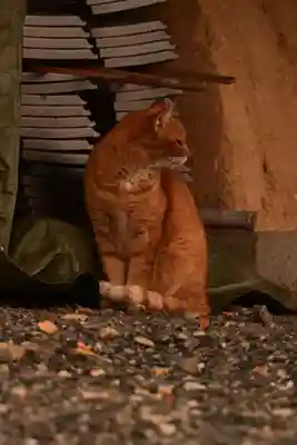 くろ谷 金戒光明寺(京都府)