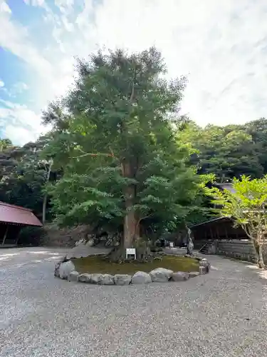 安房神社(千葉県)