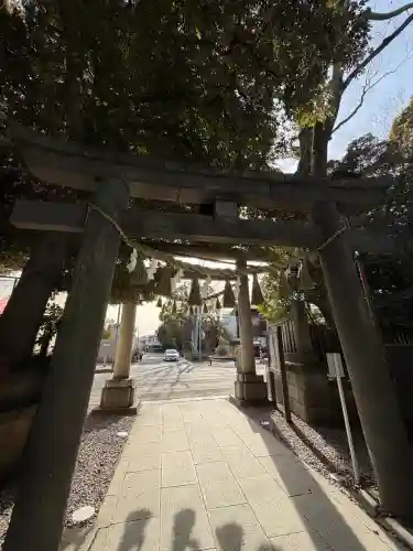 川越氷川神社(埼玉県)