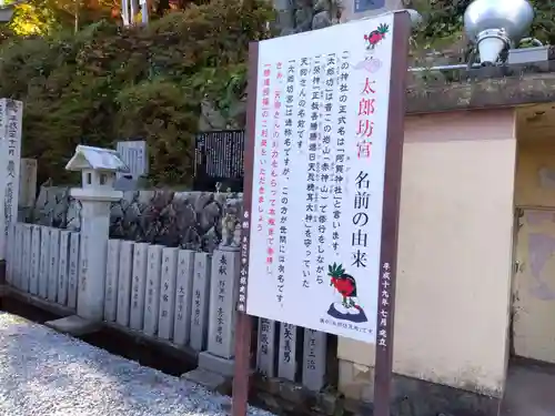 阿賀神社のその他建物