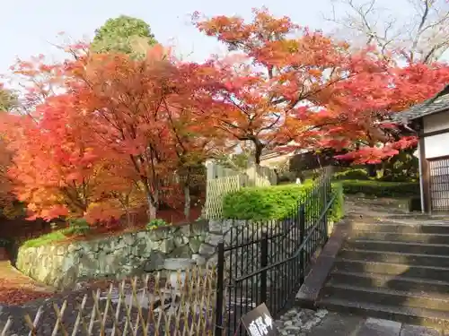 當麻寺の自然