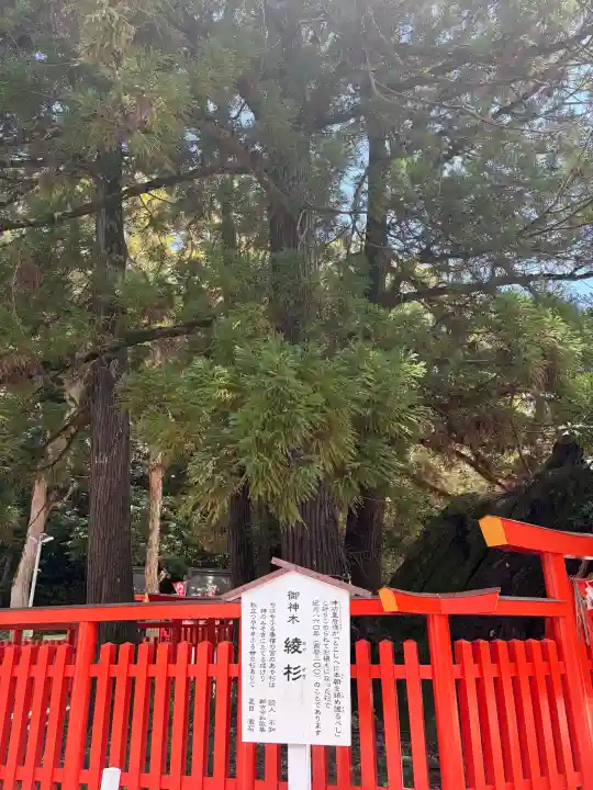 香椎宮(福岡県)