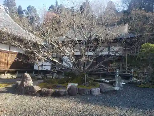 百済寺の本殿・本堂