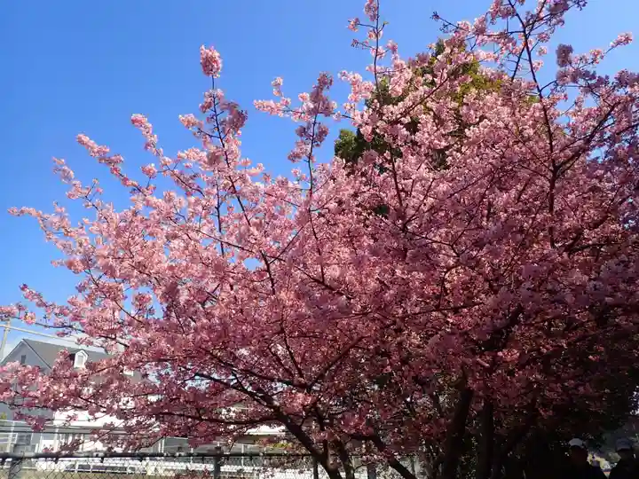海南神社(神奈川県)