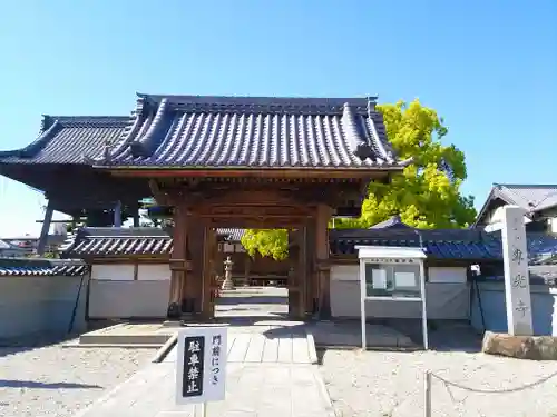 専光寺の山門・神門