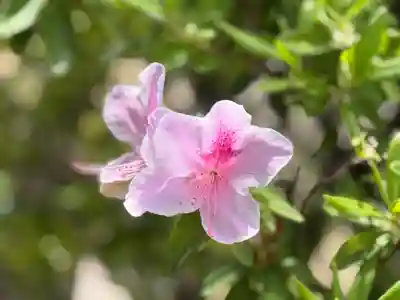 西方山極楽寺(岐阜県)