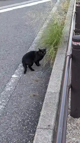 東之宮社の動物