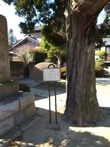 光了寺のその他建物