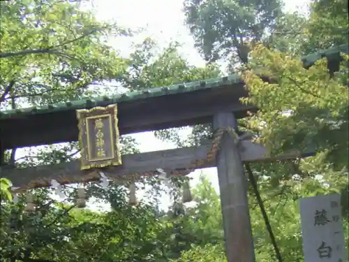 藤白神社の鳥居