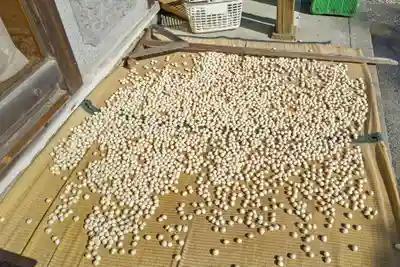 善南寺(岐阜県)