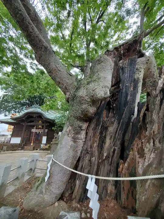 阿邪訶根神社(福島県)
