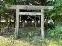 椿一宮神社の鳥居