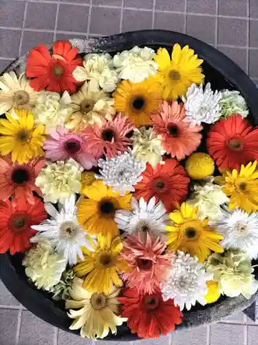 瑞玄寺の手水舎