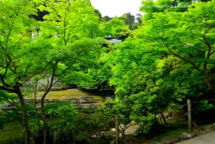 円覚寺(神奈川県)