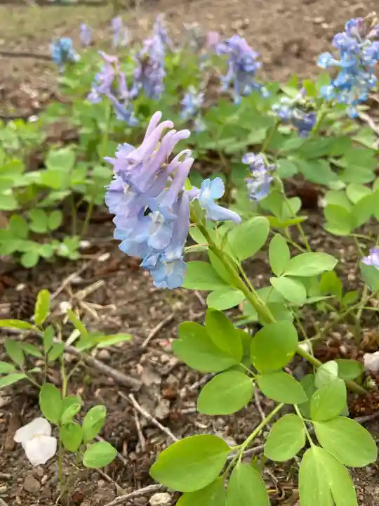 江南神社(北海道)