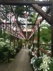 青龍山 吉祥寺(群馬県)