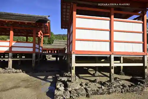 厳島神社(広島県)